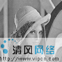 Visual C++ 实现数字化图像的分割(图四十四)